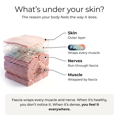 Morning Union — Fascial Release Support