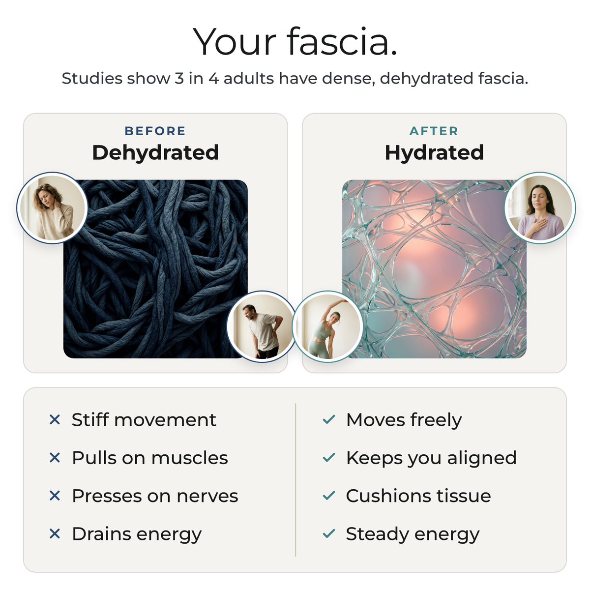 Morning Union — Fascial Release Support