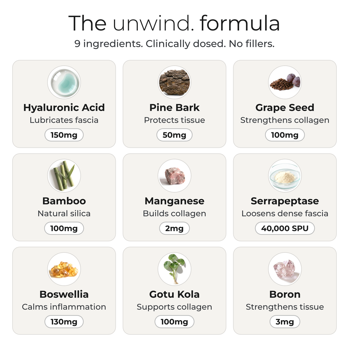 Morning Union — Fascial Release Support